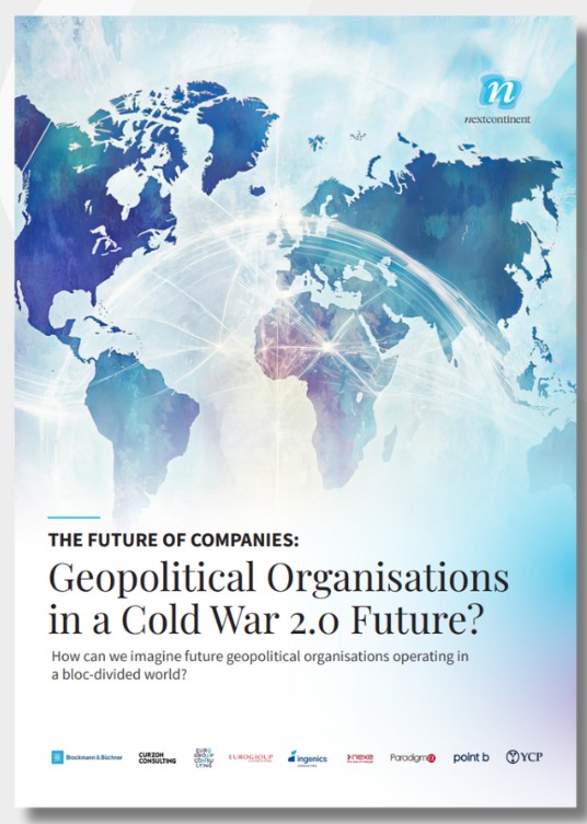 White Paper by nextcontinent on Geopolitical Organisation