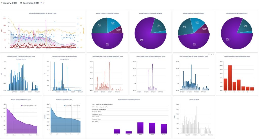 Dashboard zur Visualisierung der sportlichen Aktivitäten im Radsport
